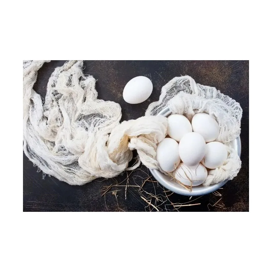 Farm Fresh Chicken Table Eggs White Shell Chicken Eggs in Brazil Style Color Shelf Origin For Sale In Cheap Price
