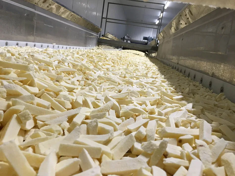 Frozen French Fries Making Machine Fresh Potato Chips Production Line For Sale