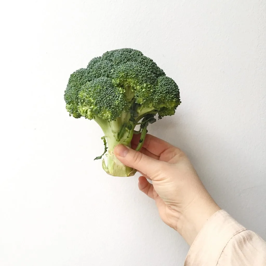 Good Quality Wholesale Fresh Broccoli Hot Sale High Quality Fresh Broccoli Factory Low Price Broccoli