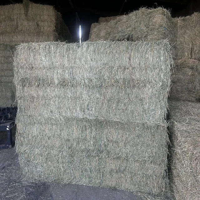 High-Quality Alfalfa and Timothy Hay for Animal Feed - Buy in Bulk with Fast Shipping and Discounted Prices