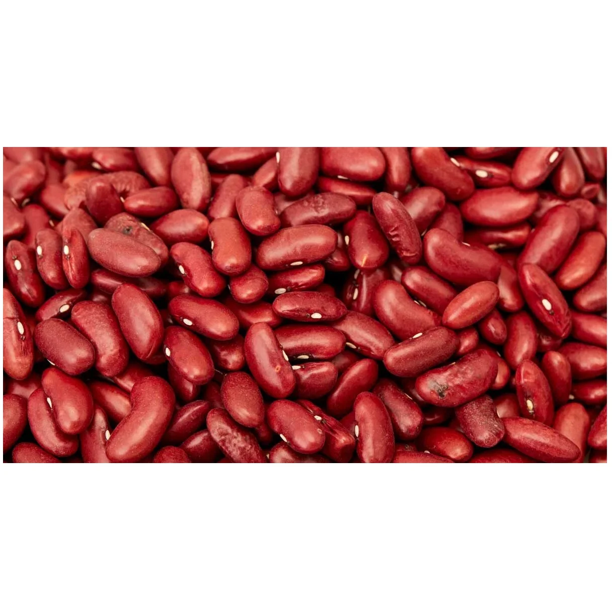canned red kidney beans in brine with good quality for whole world