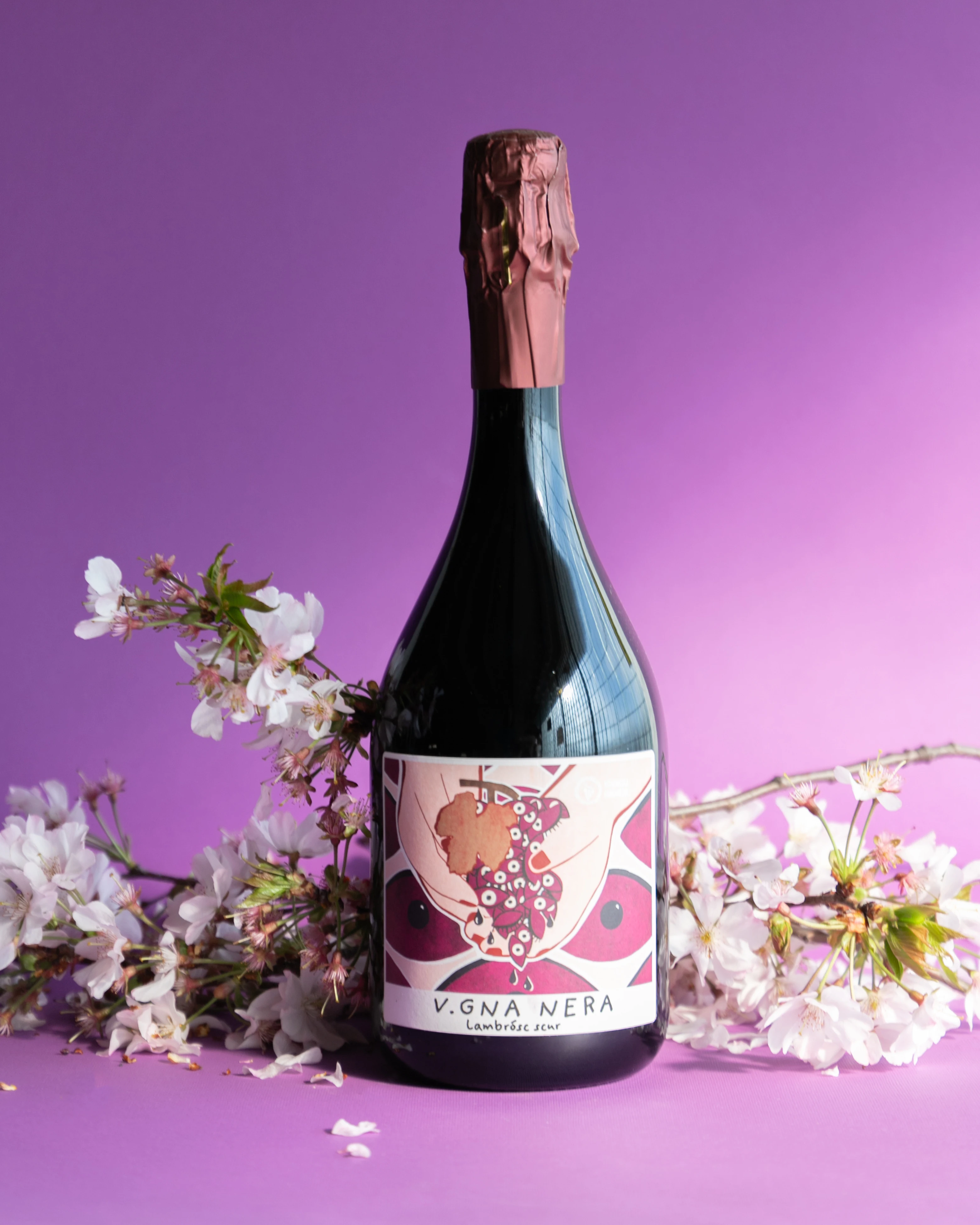 Белое вино Pignoletto итальянская бутылка высшего качества 0 75 Л Vitivinicola Fangareggi