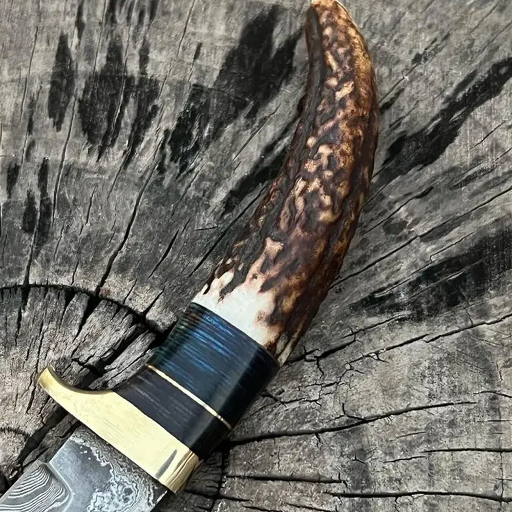 New Custom Handmade Damascus Steel Hunting Skinning Knife With Stag-Horn Handle for sale in bulk quantity