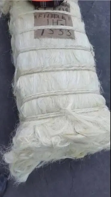 Wholesale of Sisal Fiber Packed in Bales of 100 kgs, 200 kgs and 250 Kgs with Custom Packing Available at Cheap Price