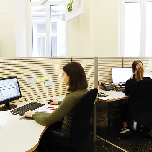 Top quality italian food dairy products 1 Kg frozen cow julienne mozzarella strech milk cheese for pizza