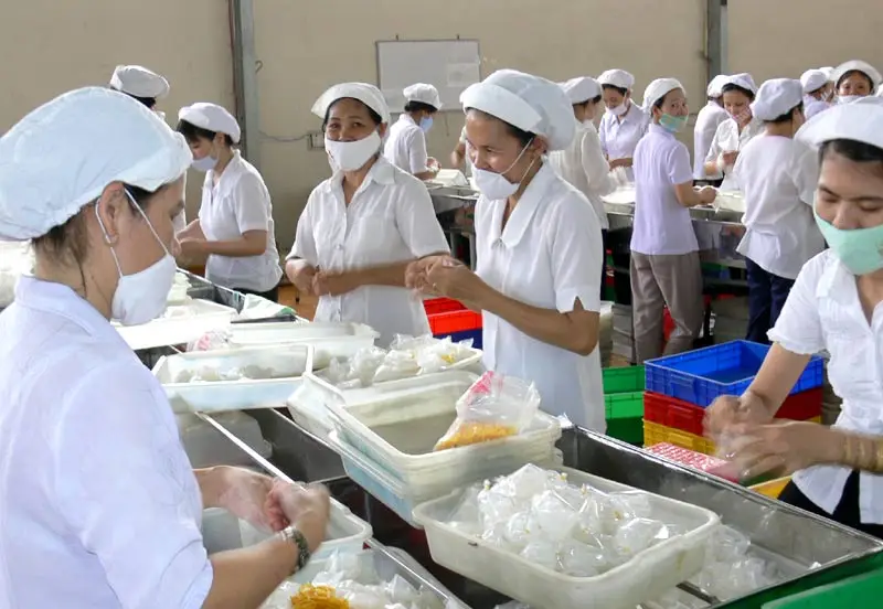 Кокосовое желе // NATA DE COCO сделано во Вьетнаме высокого качества и по лучшей цене
