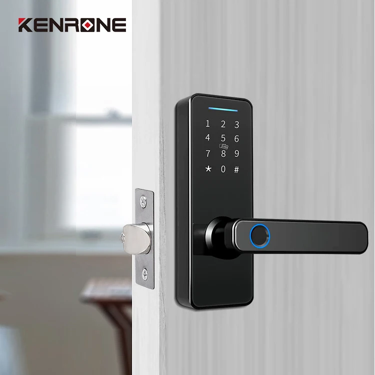 High Security Anti Theft Smart Door Lock  Blue Tooth Ttlock Electronic Fingerprint Smart Lock