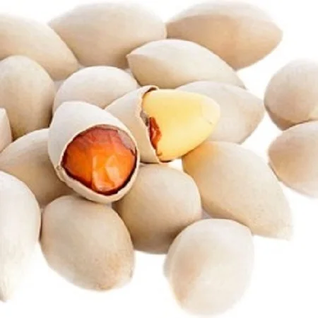ginkgo Nuts Good Price For Sale (10000010308968)