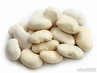 Faba  beans  broad  beans  / Quality  Baby Broad Beans