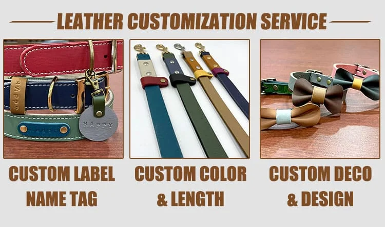 Dog Collar T16-1 N3L09