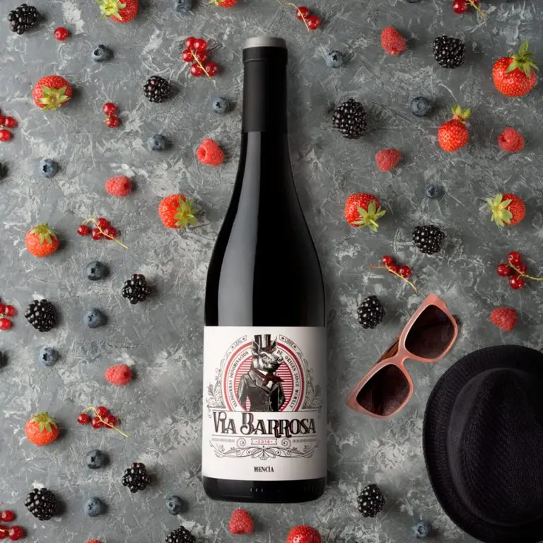 Red wine from Spain | Via Barrosa Mencia 2021 DO Valdeorras | Packaging 750ml glass bottle | Vina Costeira