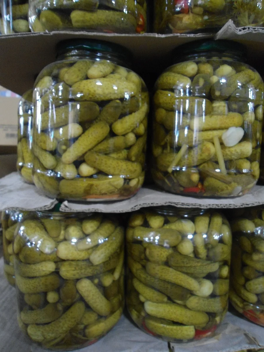 Cucumber Pickled Gherkin At A Special Price To Be Used As A Favorite Side Dish Ready For Delivery