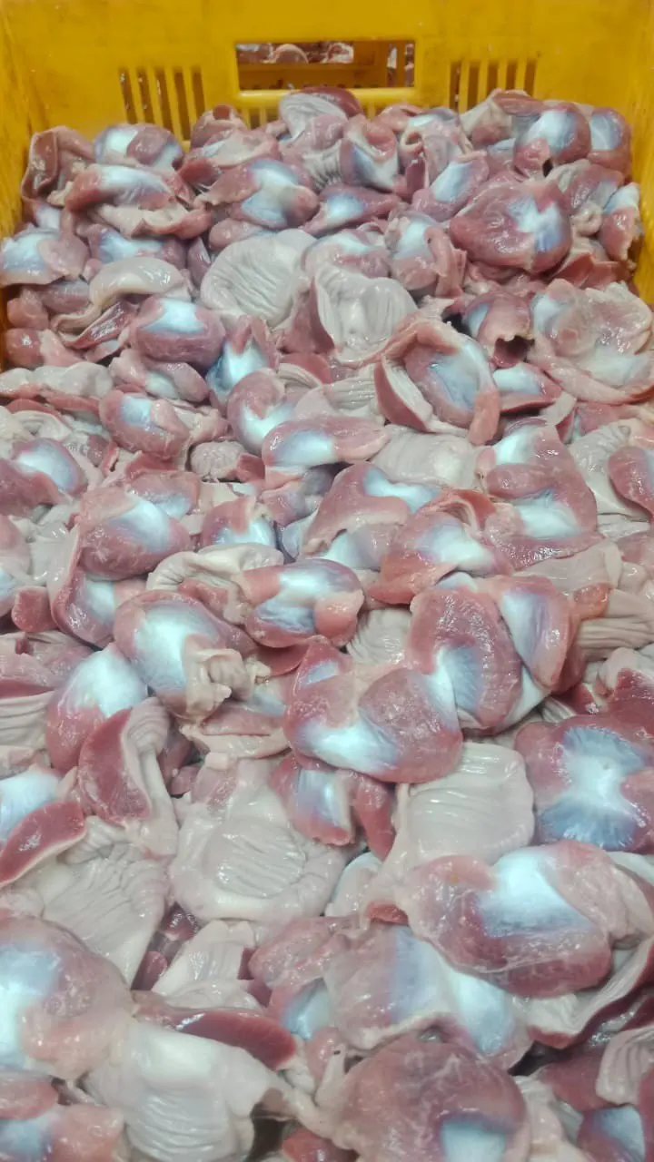 Недорогой замороженный куриный желудок для продажи/Высококачественный халяльный