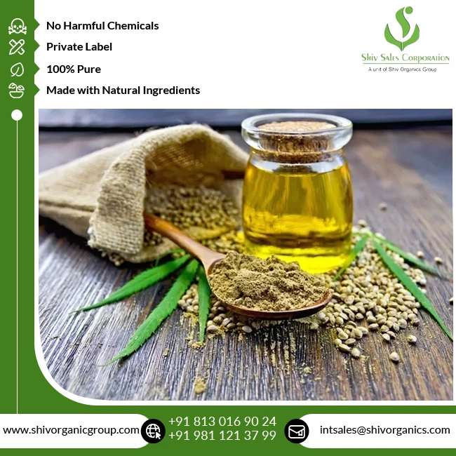 Good Quality Therapeutic Grade 100% Pure and Natural Cold Pressed Carrier Hempseed Oil from Indian Supplier