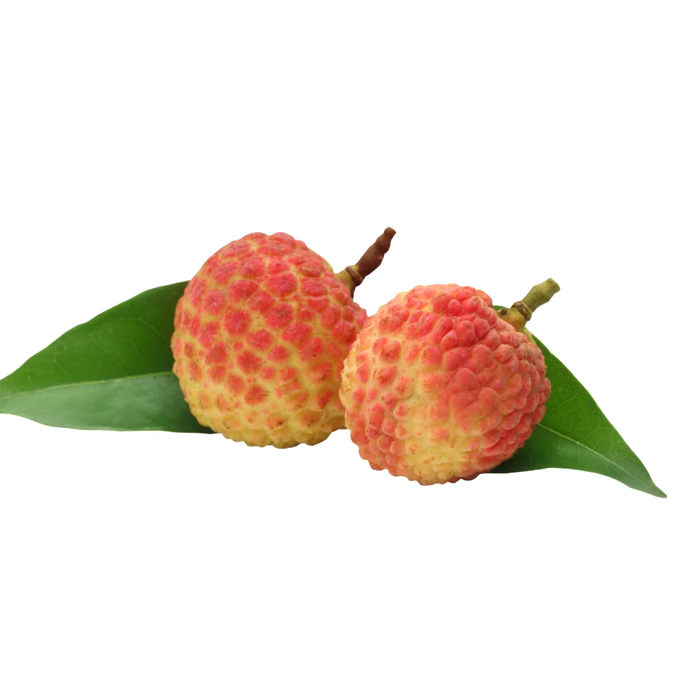 High Quality Fresh Fruit From Vietnam Wholesale Fresh Lychee Best Price For Tropical Fruit Ready To Ship