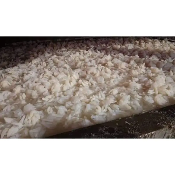 Fresh Fish For Sale/Jelly Fish Seller From Pakistan Origin