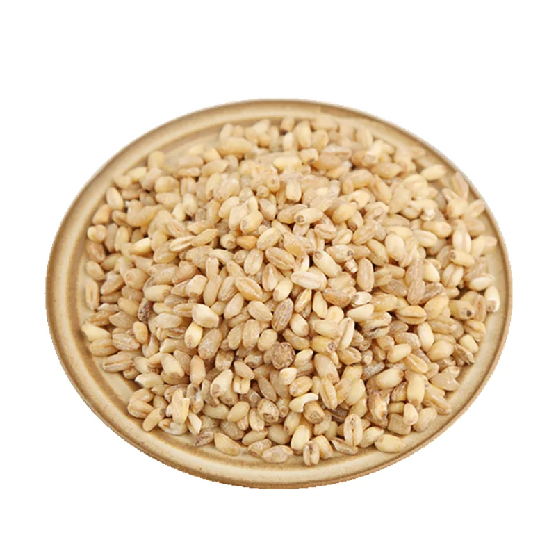 Cheapest Price Supplier Bulk Organic Dried Whole Wheat Grains With Fast Delivery