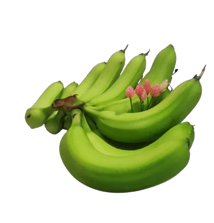 Top Supplier Wholesaler Accept Order Custom Best Price For Export Grade A456 Cavendish Banana Hot Selling Manufacturer