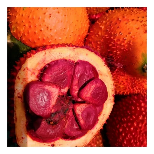 2024 лучших продуктов | Фруктовый порошок/GAC MOMORDICA cochinensis высокого стандарта