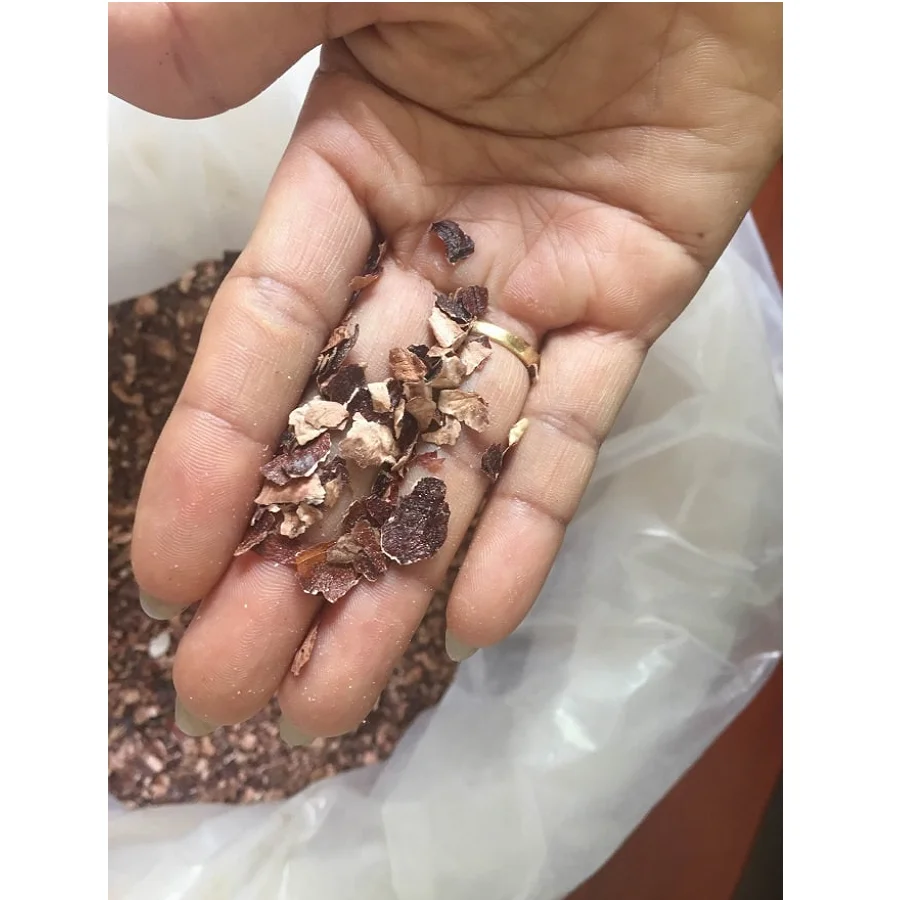 Competitive Price Cashew Husk With Bulk Quantity Made In Vietnam Best Quality Ready To Ship Wholesale 2023