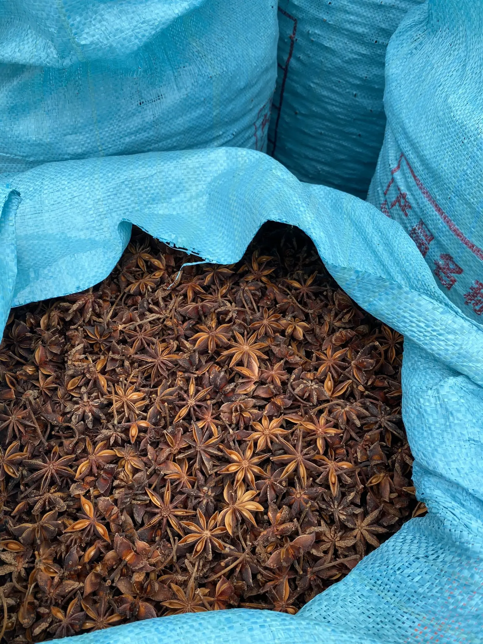 Autumn/ Spring Star Anise/ In New Crop 2022 Anise// Ms. Jennie