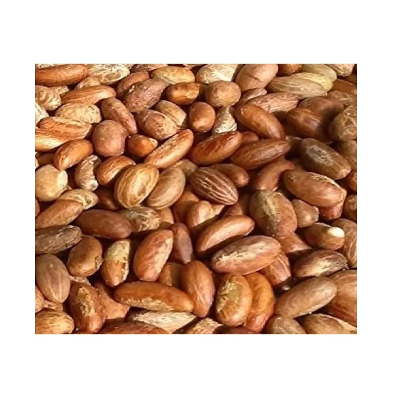 kolanut) Bitter kola,garcinia kola-bitter kola,kola nut bitter/African Bitter kola