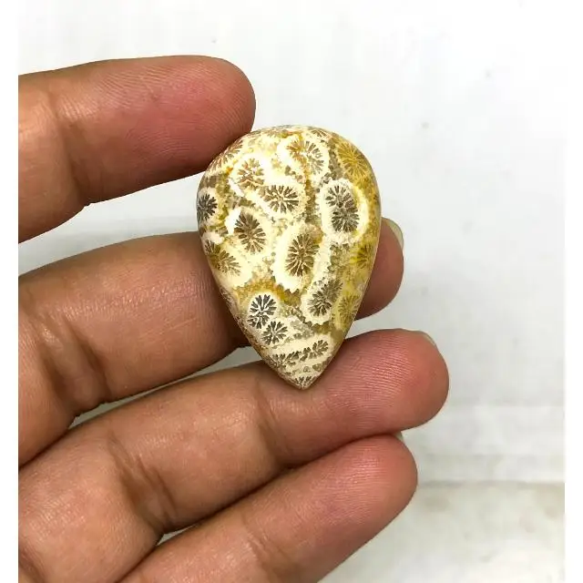 Best Price Beautiful Accessories Wholesale Price Cabochon Loose Gemstone Cabochon Fossilized Coral Gemstone for Jewelry  Making