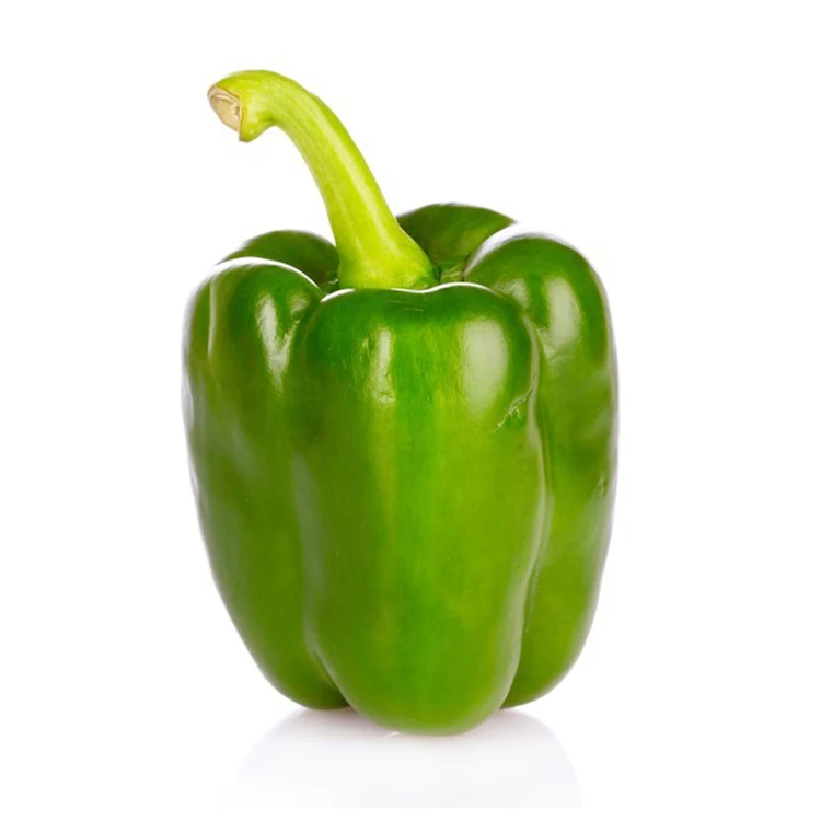 Best Selling and High Quality 100% Natural Product Fresh Bell Pepper Ready for Export in Bulk Quantity