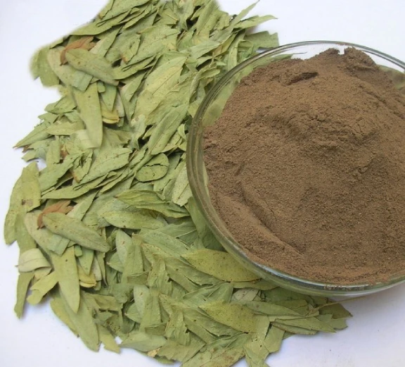 Best Prices on Pure and Natural Cassia Angustifolia Herb Extract Powder Wild-Cultivated Indian Supplier