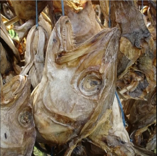 stockfish head 010.PNG