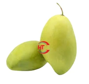 Vietnam Crop Organic Tropical Fresh Fruit Unripe Maturity Crunch Crisp Slightly Sweet Taste Siamese Keos Mango Carton Packaging