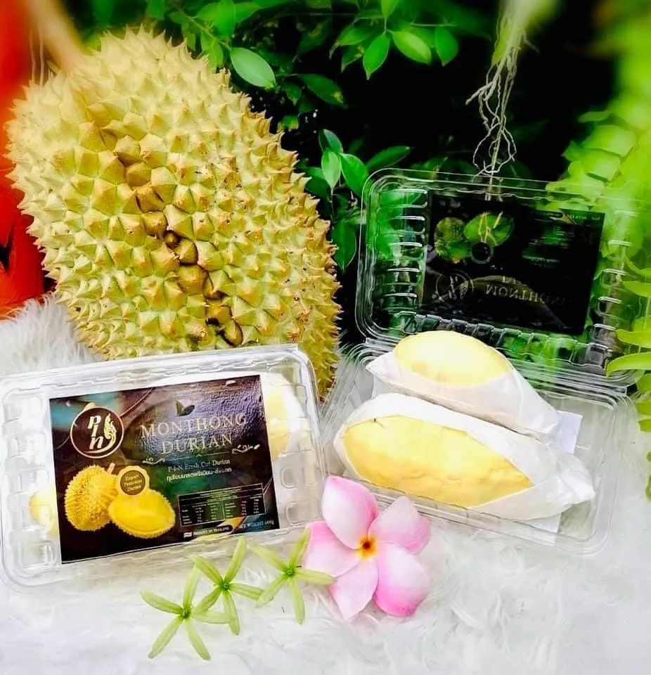 Fresh Durians Thailand Premium Monthong Durian From Thailand
