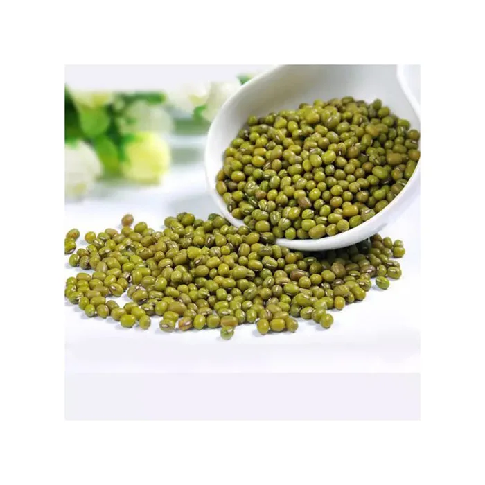 Best choice and best discounts Green Bean Machine Cleaned Premium Grade Green Mung Beans Exporter