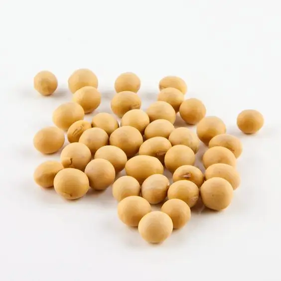 Brazilian Soybean powder milk 18% Protein Instant Unsweetened