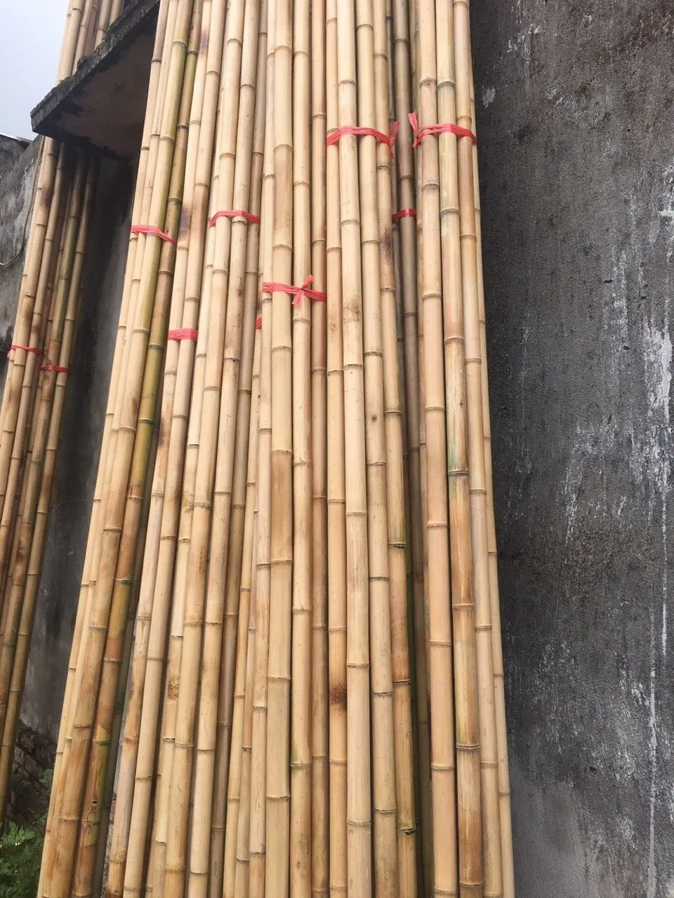 Vietnamese natural bamboo fence wholesale price! Raw Bamboo Poles for Gardening and Decoration! Bamboo Pole Natural