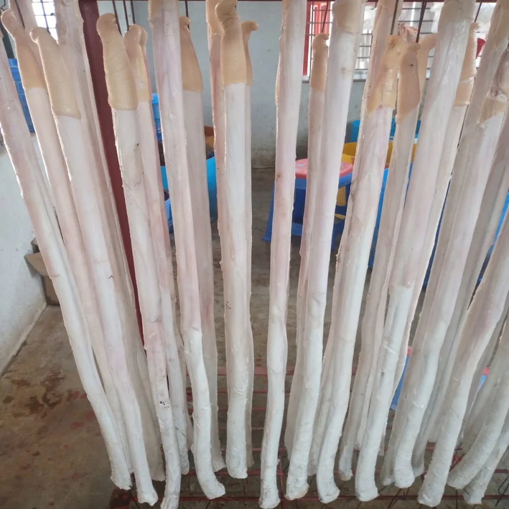 Super Fresh and High Quality Frozen Beef Pizzle Best Clinging Beef Penis Bull Processing for Dogs Cheap Price from Bangladesh