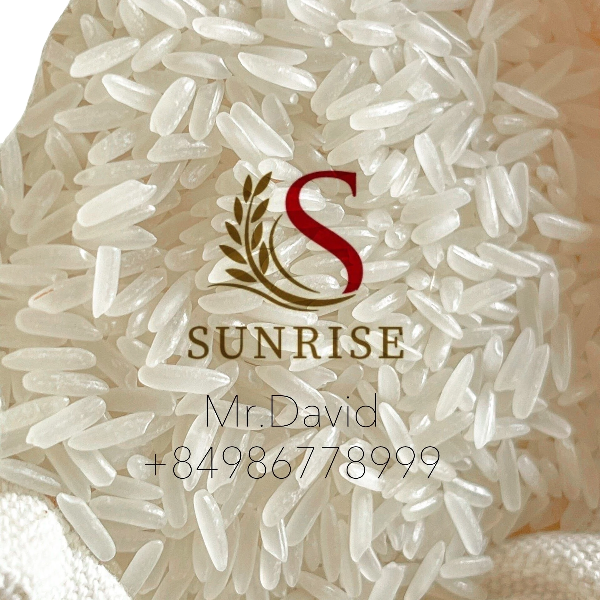High Quality Jasmine Rice Perfumed Rice Exports Worldwide (Mobile/ Wa: +84986778999 David Director)