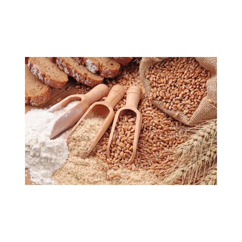 Corn Grain, Wheat Bran, DDGS Make Yeast 60% For Animal Feed