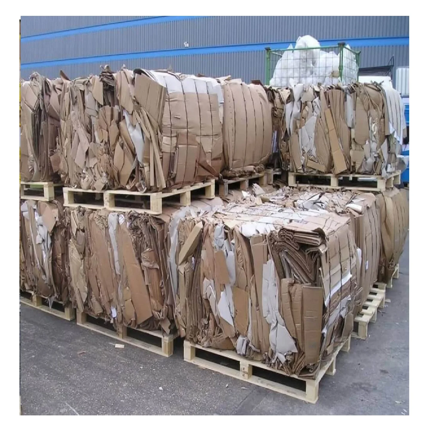 Best Quality Used Cardboard Waste Paper And Selected Occ Waste