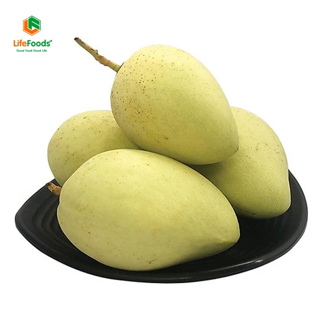 Стандартная упаковка, 80% сладкий натуральный аромат, экспорт свежих фруктов, свежий желтый кот Chu манго Lifefoods из Вьетнама