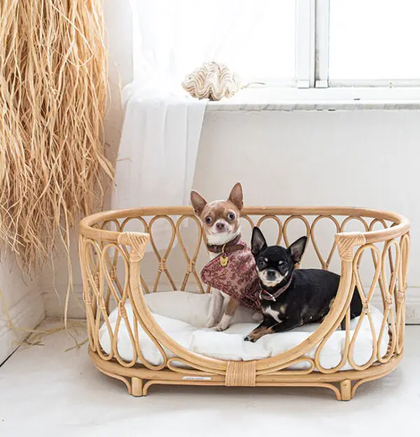 Cheap dog bed fun and  portable dog beds rattan sleeping pet basket