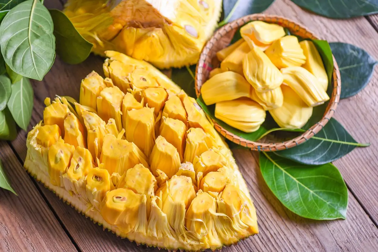 Vietnam Fresh Jackfruit Grade 1