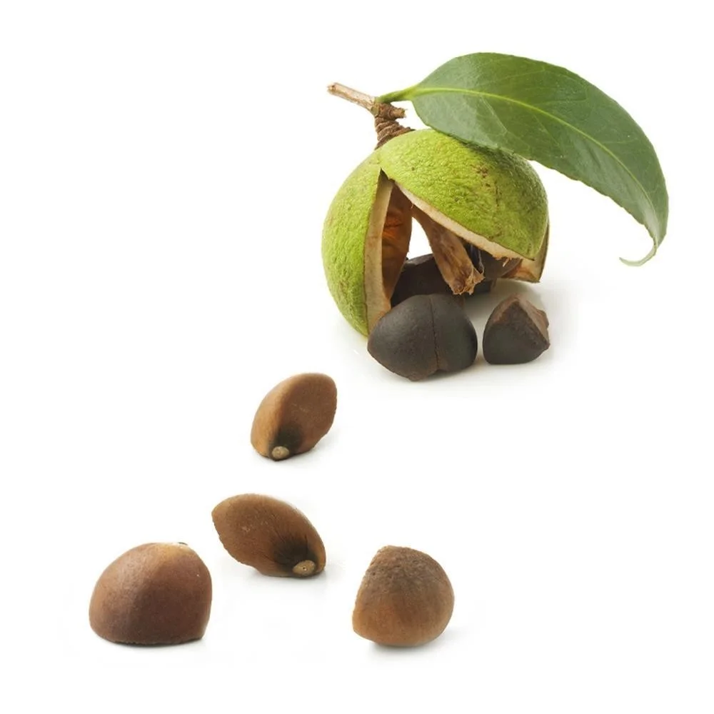 Oil Camellia Edible Oil Camellia Oil Made From Special-grade Raw Materials For Healthy Cooking