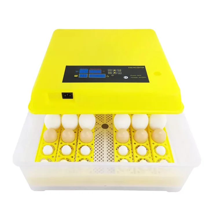 112 Eggs 12V 220V Incubator Full Automatic Chicken Egg Incubator Hatcher Egg Incubator For Sale In Uae