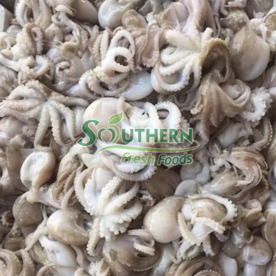 WR Wild Caught SFF Packing shelf usage style quality high products 2 years life seafood export Frozen Baby Octopus from Vietnam