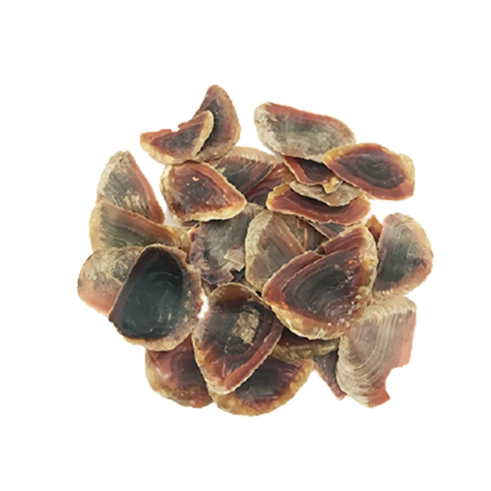 Мурекс-оперкулум из Вьетнама, в наличии