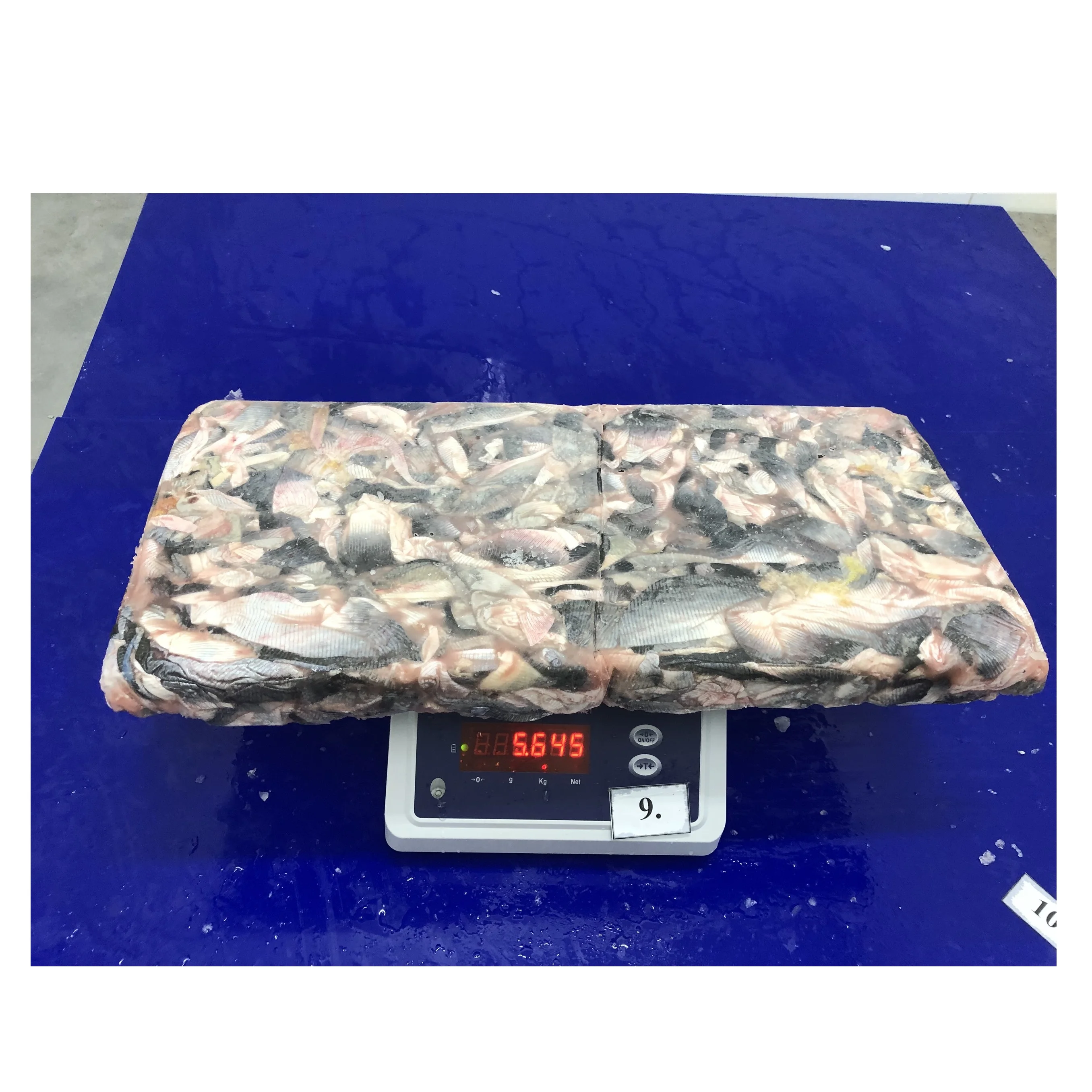 Fresh pangasius skin/ basa fish skin