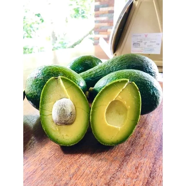 Avocado Fresh Thai Fruit