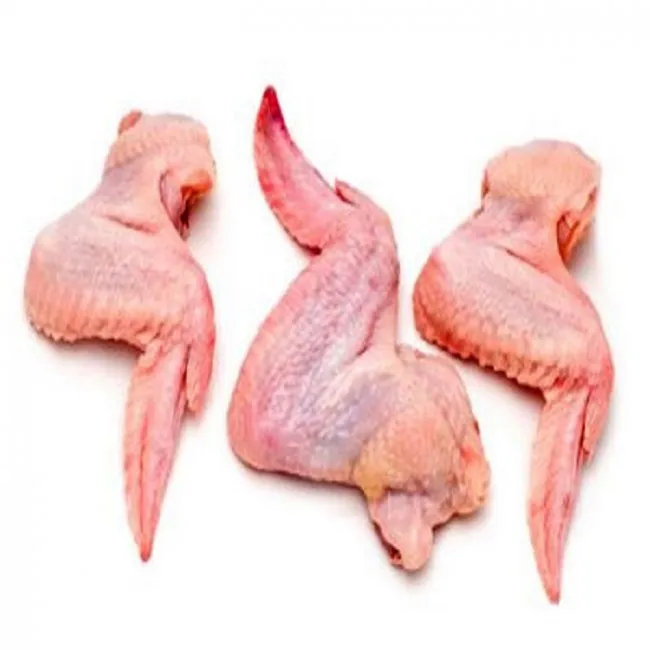 Frozen Chicken Wings for Wholesale Fresh chicken wings for sale halal chicken wings for bulk sales