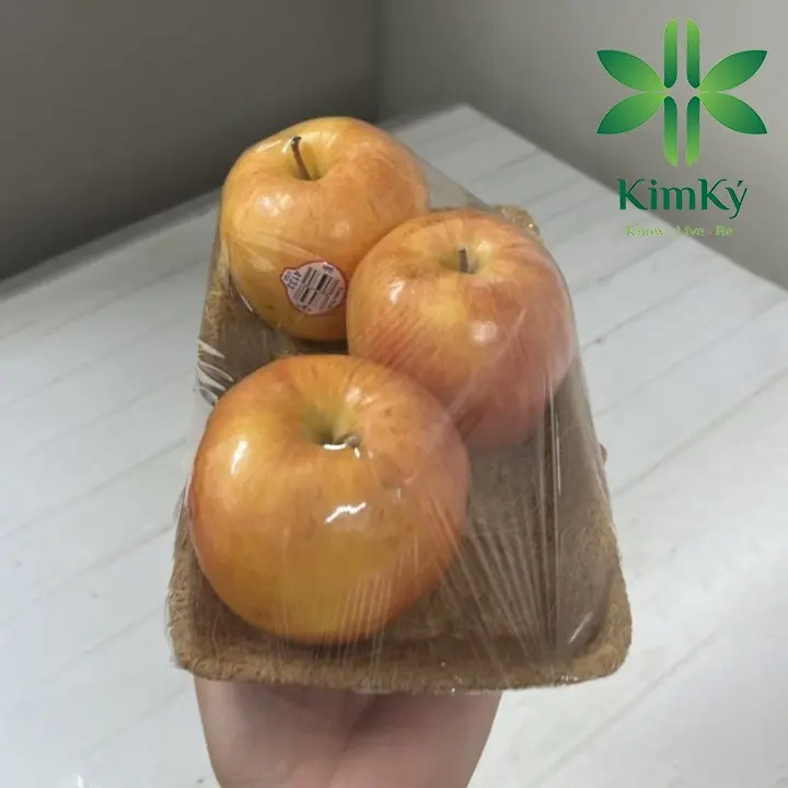 VIETNAM 2024 NEW PRODUCT FOR DRY FOOD VEGETABLE FRUIT PACKAGING ALL KIND FIBER TRAY DURABLE, ECO FRIENDLY HIGH 19cm x WIDE 12cm